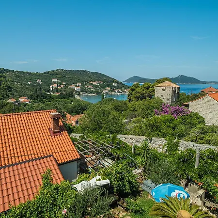 Casa vacanze Vintage House Kolocep