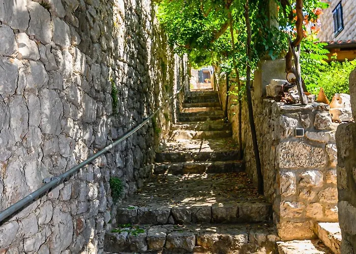 Vintage House Kolocep *