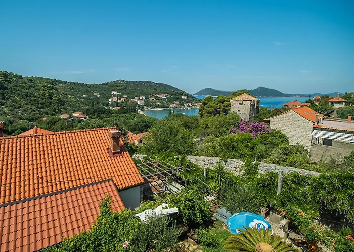 Casa vacanze Vintage House Kolocep