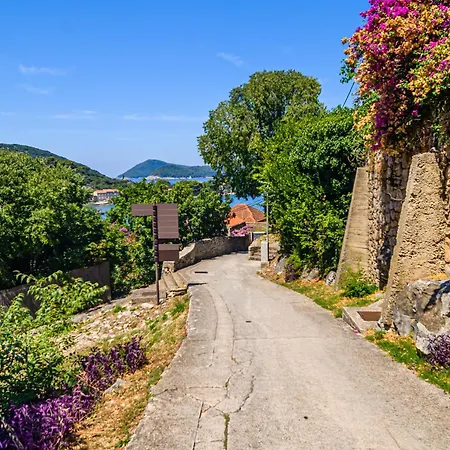 Vintage House Kolocep Donje Celo