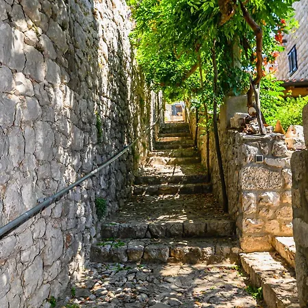 Vintage House Kolocep *