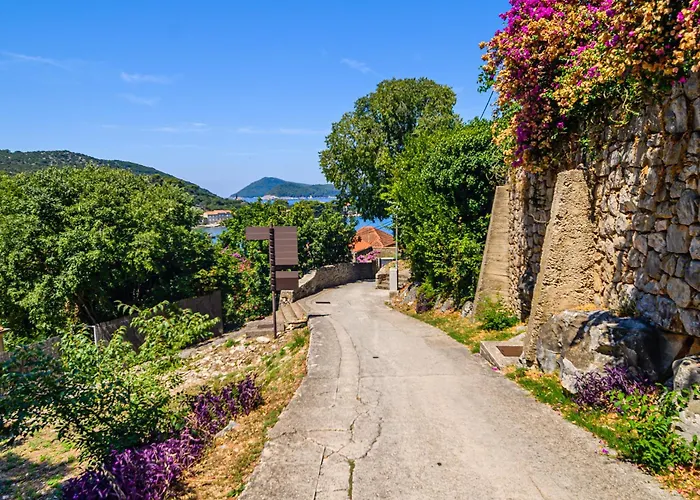 Vintage House Kolocep Donje Celo